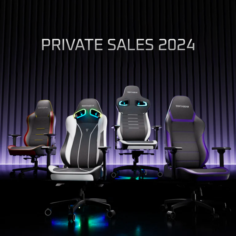 Vertagear sales lumbar pillow